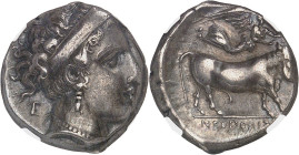 GRÈCE ANTIQUE
Campanie, Naples. Didrachme ND (400-360 av. J.-C.), Naples.NGC XF 3/5 5/5 Fine style (6631351-003).
Av. Tête de Parthénope à droite, la ...