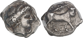 GRÈCE ANTIQUE
Campanie, Naples. Didrachme ND (400-360 av. J.-C.), Naples.NGC VF 4/5 4/5 Fine Style (6633798-028).
Av. Tête de Parthénope à droite, ave...