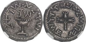 GRÈCE ANTIQUE
Judée, Première guerre judéo-romaine ou Grande Révolte (66-73). Shekel An 2 (67/68), Jérusalem.NGC Ch XF 5/5 2/5 scratches (6630872-007)...