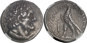 GRÈCE ANTIQUE
Royaume lagide, Ptolémée IV (222-204 av. J.-C.). Tétradrachme ND, Tyr.NGC XF 4/5 3/5 (6633798-032).
Av. Buste diadémé de Ptolémée Ier à ...