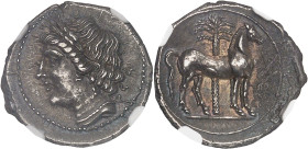 GRÈCE ANTIQUE
Zeugitane, Carthage. Demi-shekel, alliance avec les Bruttiens ND (215-205 av. J.-C.), Bruttium (Calabre).NGC AU 5/5 3/5 marks (6631351-0...