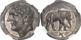 GRÈCE ANTIQUE
Zeugitane, Carthage. Shekel ND (213-210 av. J.-C.), Carthage.NGC Ch AU* 5/5 4/5 Fine style (2113106-048).
Av. Tête laurée à gauche d’Her...