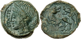 GAULE
Carnutes. Bronze PIXTILOS, classe II à la louve et au lézard ND (seconde moitié du Ier siècle, c. 30-10 avant J.-C.).
Av. Tête diadémée de Vénus...