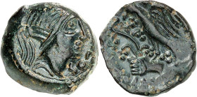 GAULE
Carnutes. Bronze PIXTILOS, classe III à l'oiseau et à la main ND (seconde moitié du Ier siècle, c. 30-10 avant J.-C.).
Av. Tête diadémée de Vénu...
