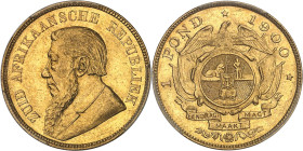 AFRIQUE DU SUD
Afrique du sud (République d’). 1 pond, chariot à timon simple 1900.PCGS MS62 (45272288).
Av. ZUID AFRIKAANSCHE REPUBLIEK. Buste à gauc...