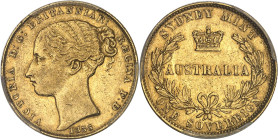 AUSTRALIE
Victoria (1837-1901). Souverain, 1er buste 1856, Sydney.PCGS AU53 (41799890).
Av. VICTORIA D: G: BRITTANIAR: REGINA F: D:. Tête à gauche, la...