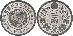 CORÉE DU SUD
Kojong (1864-1897). Essai de 2 niang en métal blanc An 495 (1886).NGC MS 66 (5789156-002).
Av. 2 NIANG. Légende en coréen. Au centre, deu...