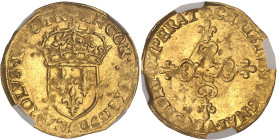 FRANCE / CAPÉTIENS
Charles X (1589-1594). Écu d’or au soleil 1er type 1590, A, Paris.NGC MS 61 (4824342-004).
Av. CAROLVS. X. D. G. FRANCOR. REX (diff...