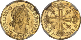 FRANCE / CAPÉTIENS
Louis XIII (1610-1643). Demi-louis d’or 1643, D, Lyon.NGC MS 64 (6633193-129).
Av. LVD. XIII D. G. FR. ET. NAV. REX. Tête laurée du...