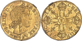 FRANCE / CAPÉTIENS
Louis XIV (1643-1715). Louis d’or à la mèche longue 1649, F, Angers.NGC AU 58 (6633193-076).
Av. (différent) LVD. XIIII. D. G. - FR...