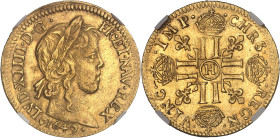FRANCE / CAPÉTIENS
Louis XIV (1643-1715). Louis d’or à la mèche longue 1649, H, La Rochelle.NGC MS 63 (6633193-074).
Av. LVD. XIIII. D. G. - FR. ET. N...