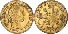 FRANCE / CAPÉTIENS
Louis XIV (1643-1715). Louis d’or à la mèche longue 1650, N, Montpellier.NGC MS 64 (6633193-077).
Av. LVD. XIIII. D. G (différents)...
