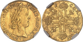 FRANCE / CAPÉTIENS
Louis XIV (1643-1715). Louis d’or à la mèche longue 1651, AR, Arras.NGC MS 62 (6633193-078).
Av. LVD. XIIII. D. G. (différent). - F...