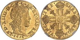 FRANCE / CAPÉTIENS
Louis XIV (1643-1715). Louis d’or à la mèche longue 1652, D, Lyon.NGC MS 61 (6633193-082).
Av. LVD. XIIII. D. G. (différents) FR. E...