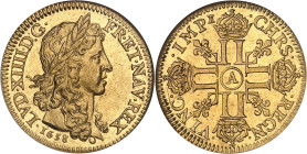 FRANCE / CAPÉTIENS
Louis XIV (1643-1715). Louis d’or juvénile lauré 1658, A, Paris.NGC MS 62 (1914434-007).
Av. LVD. XIIII. D: G. - FR. ET. NAV. REX. ...