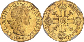FRANCE / CAPÉTIENS
Louis XIV (1643-1715). Louis d’or juvénile lauré 1664, D, Lyon.NGC AU 58 (6633193-095).
Av. LVD. XIIII. D. G (différents) - (différ...
