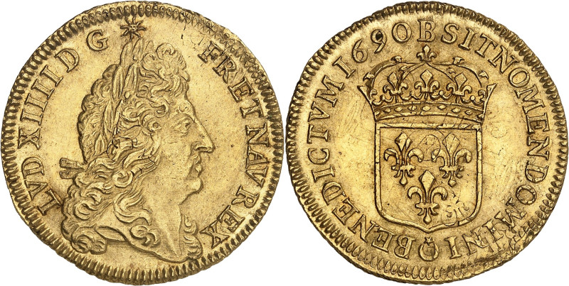 FRANCE / CAPÉTIENS
Louis XIV (1643-1715). Double louis d’or à l’écu 1690, B, Ro...
