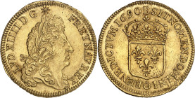 FRANCE / CAPÉTIENS
Louis XIV (1643-1715). Double louis d’or à l’écu 1690, B, Rouen.NGC MS 63 (6635776-001).
Av. LVD XIIII D G (différent) - FR ET NA...