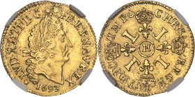 FRANCE / CAPÉTIENS
Louis XIV (1643-1715). Demi-louis d’or aux quatre L 1693, H, La Rochelle.NGC UNC DETAILS CLEANED (6633790-009).
Av. (différent) LVD...