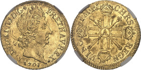 FRANCE / CAPÉTIENS
Louis XIV (1643-1715). Double louis aux huit L et aux insignes, réformation 1701, A, Paris.NGC AU 58 (6453541-038).
Av. LVD. XIIII....
