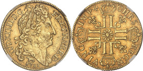 FRANCE / CAPÉTIENS
Louis XIV (1643-1715). Louis d’or au soleil de Béarn 1711, vache, Pau.NGC AU 58 (6633193-060).
Av. LVD. XIIII. D: G. (différent) - ...