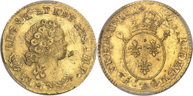 FRANCE / CAPÉTIENS
Louis XV (1715-1774). Demi-louis d’or aux insignes 1716, A, Paris.PCGS MS63 (45859637).
Av. LVD. XV. D. G. FR. ET. NAV. REX (date)....