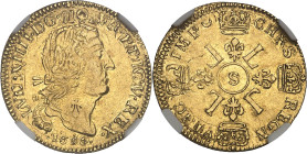 FRANCE / CAPÉTIENS
Louis XIV (1643-1715). Louis d’or aux quatre L, fausse réformation ? 1696, S, Reims.NGC AU 53 (6633193-027).
Av. LVD. XIIII. D. G (...