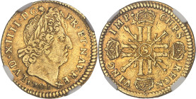 FRANCE / CAPÉTIENS
Louis XIV (1643-1715). Louis aux huit L et aux insignes, réformation 1701, S, Reims.NGC XF 45 (6633193-028).
Av. LVD. XIIII. D. G (...