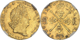 FRANCE / CAPÉTIENS
Louis XIV (1643-1715). Louis d’or aux insignes, réformation 1704, S, Reims.NGC AU DETAILS REV SCRATCHED (6633193-032).
Av. LVD. XII...