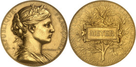FRANCE
IIIe République (1870-1940). Médaille d’Or, Exposition Internationale d’Électricité, à Bernard Meyer, inventeur de la télégraphie multiple, par...