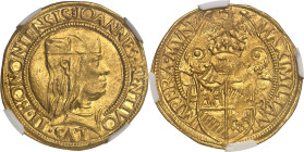 ITALIE
Bologne, Giovanni II Bentivoglio (1494-1509). Double ducat ND, Bologne.NGC MS 61 (6633789-006).
Av. :IOHANNES. BENTIVO - LVS. II. BONONIENSIS. ...