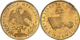 MEXIQUE
République du Mexique (1821-1917). 8 escudos 1825 JM, M°, Mexico.NGC MS 61 (6631355-018).
Av. REPUBLICA MEXICANA. Sur une couronne formée de d...