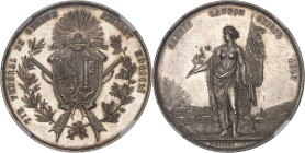 SUISSE
Genève (canton de). Médaille de tir, Concours de tir fédéral de Genève, juillet 1851, par Dorcière 1851.NGC MS 62 (6633791-004).
Av. TIR FEDERA...