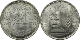 Weltmünzen und Medaillen, Ägypten / Egypt. Serie: F.A.O. - Osiris. 1 Pound 1976. 15,0 g. 0.720 Silber. 0.35 OZ. KM 453. Stempelglanz