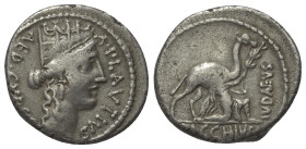 P. Plautius Hypsaeus.

 Denar (Silber). 55 v. Chr. Rom.
Vs: A PLAVTIVS AED CVR S C. Kopf der Cybele rechts.
Rs: IVDAEVS, im Abschnitt: BACCHIVS. M...