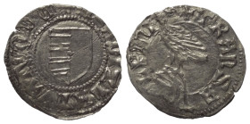 Walachei - Fürstentum. Vladislav I. (1364 - 1377).

 Dinar (Silber).
Vs: + M(oneta) LADIZLAI WOIWODE. Gespaltenes Wappenschild.
Rs: TRANSA - LPINI...
