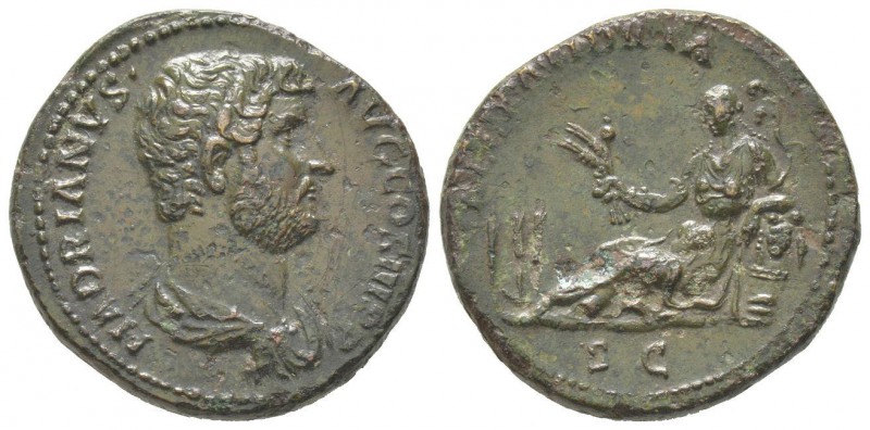 Hadrianus 117 - 138 As, Rome, 119-138, AE 13.21 g Avers: HADRIANVS AVG COS III P...