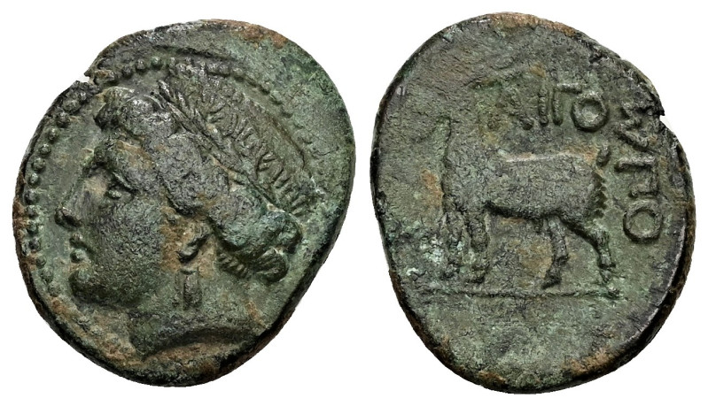 Thrace, Aigospotamoi. Ae, 6.53 g 22.06 mm. Late 4th century BC. 
Obv: Head of go...