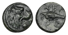 Thrace, Chersonesos. Ae, 1.24 g 10.58 mm. Circa mid-4th century-309 BC. 
Obv: Head of lion right. Linear border. 
Rev. ΧΕΡ-ΡΟ; Barley-corn. 
Ref.: HGC...