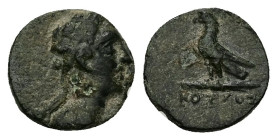 Kings of Thrace, Odrysian. Kotys IV. Ae, 1.28 g 11.74 mm. Circa 171-167 BC.
Obv.: Diademed and draped bust right.
Rev.: [ΒΑΣΙΛΕΟΣ] ΚΟΤΥΟΣ; Eagle stand...