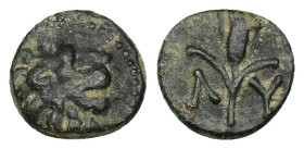 Thrace, Lysimacheia. AE, 1.07 g 10.32 mm. Circa 309-220 BC. 
Obv: Head of lion right. Dotted border. 
Rev. Λ-Υ; Grain ear. 
Ref.: HGC 3.2, 1503; SNG C...