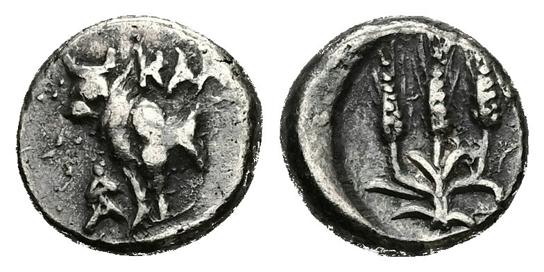 Bithynia, Kalchedon. AR Hemidrachm, 1.87 g 11.41 mm. Circa 367/6-340 BC.
Obv: KA...