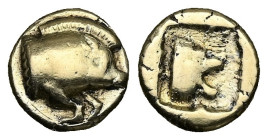 Lesbos, Mytilene. EL Fourrèe Hekte, 1.86 g 11.42 mm. Circa 454-428/7 BC. 
Obv: Forepart of boar right 
Rev: Head of lion right in linear square within...