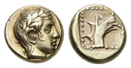 Among the finest of a very few known examples!
Lesbos, Mytilene. EL Hekte, 2.51 g 10.52 mm. Circa 430-410 BC. 
Obv: Laureate head of Apollo right
Rev:...