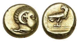 Lesbos, Mytilene. EL Hekte, 2.53 g 10.12 mm. Circa 377-326 BC.
Obv: Head of Apollo Karneios right, with horn of Ammon.
Rev: Eagle standing right, head...