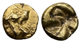 Ionia, Uncertain. EL 1/48 Stater, 0.35 g 5.84 mm. Circa 600-550 BC.
Obv: Head of roaring lion right.
Rev: Quadripartite incuse square.
Ref: Rosen 348 ...