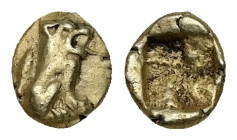 Ionia, Uncertain. EL 1/24 Stater. 0.63 g 7.68 mm. Circa 550-500 BC. 
Obv: Lion seated right.
Rev: Incuse square.
Ref: Unpublished standart referance; ...