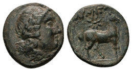 Ionia, Magnesia ad Maeandrum. Ae, 4.41 g 17.90 mm. 2nd-1st century BC.
Obv: Laureate head of Apollo right.
Rev: MAΓΝΗΤ. Horse standing right, star abo...