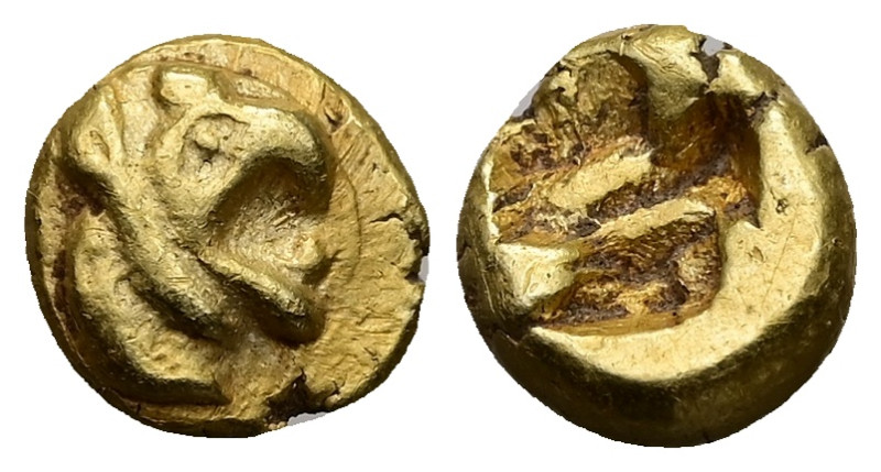 Ionia, Phokaia. EL 1/24 Stater. 0.65 g 6.34 mm. Circa 625/00 BC.
Obv: Head of g...