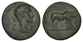 Macedon, Philippi. Augustus, 27 BC-AD 14. AE. 4.53 g. 18.13 mm.
Obv: AVG. Bare head of Augustus, right.
Rev: Two founders driving yoke of oxen right, ...